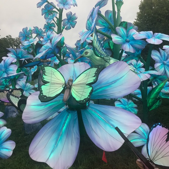 Meet your Posher, Dawn - Picture 2 of 2